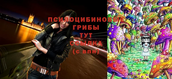 MDMA Premium VHQ Сосновый Бор