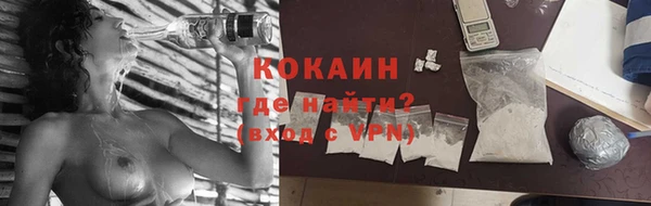 сатива Кстово