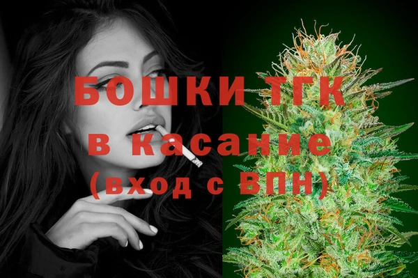шишки Сосновоборск