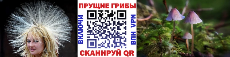 Галлюциногенные грибы мицелий  Шали 